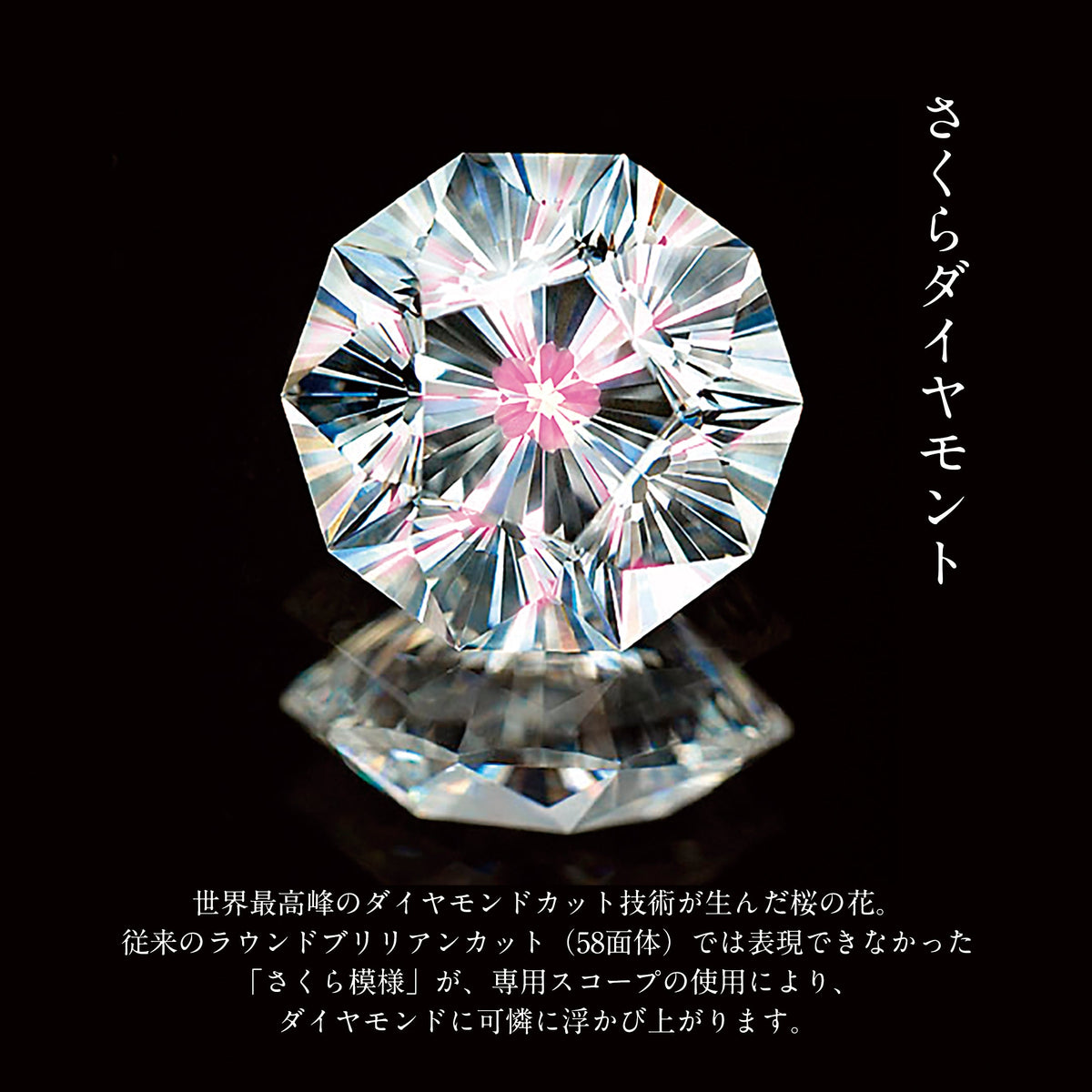 SakuraD_bdc0a9e0-f841-4918-