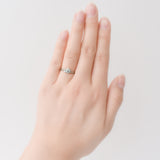 櫻之約 Sakura-Awase (木紋金PGxSV・直線)